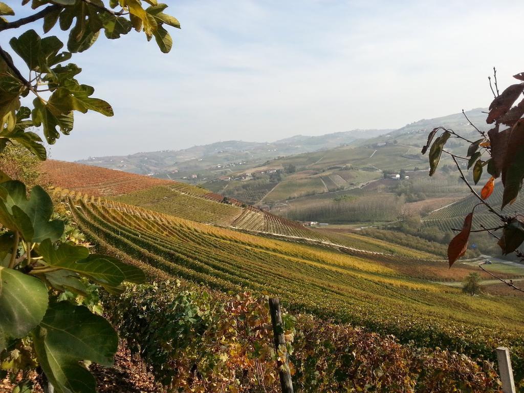 Villa Barbero Alba Langhe Mango エクステリア 写真